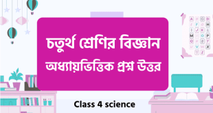 চতুর্থ শ্রেণির বিজ্ঞান প্রশ্ন উত্তর